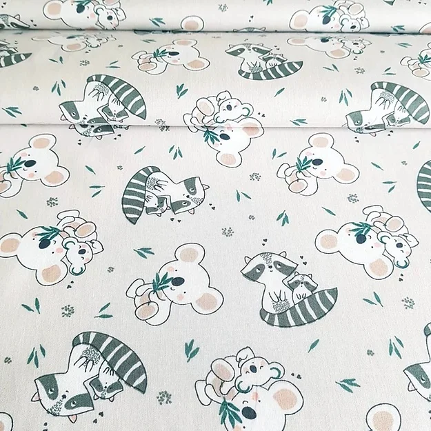 Koala et raton laveur